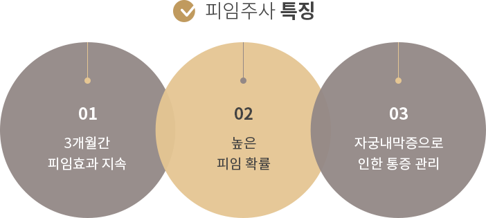 피임주사 특징. 3개월간 피임효과 지속, 높은 피임확률, 자궁내막증으로 인한 통증 관리